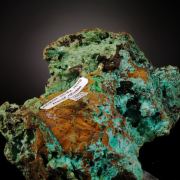Conichalcite with Hemimorphite 