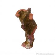 Rhodochrosite