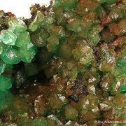 Cuprian Adamite