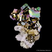 Pyrite with Quartz 