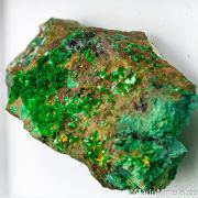 Torbernite, Kasolite