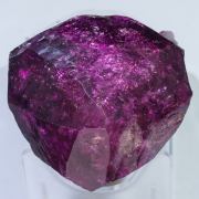 Fluor-liddicoatite