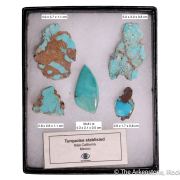 Turquoise (stabilized) (Polished & Cut set)