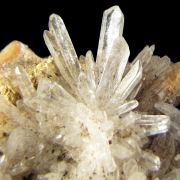 Creedite