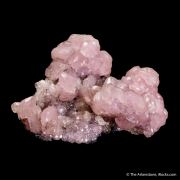 Smithsonite var. Cobaltian