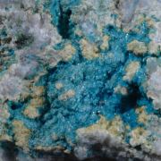 Posnjakite