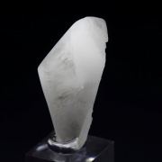 twinned WHEWELLITE