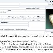 Aragonite