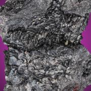 Miargyrite 