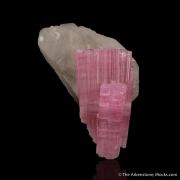 Rubellite Tourmaline on Quartz