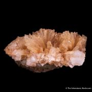Leonite on Halite