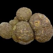Baryte, marcasite