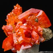 Wulfenite
