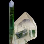 Elbaite Tourmaline, on Quartz