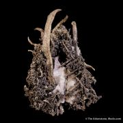 Silver (spinel-twinned)