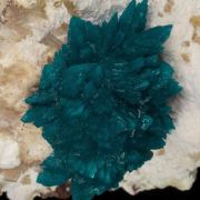 Cavansite on Mordenite with Stilbite