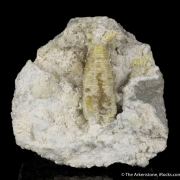 Weloganite, Dawsonite, Quartz