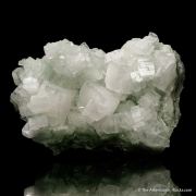 Hydroxyapophyllite-(K) on Prehnite
