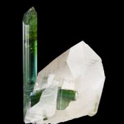 Elbaite Tourmaline, on Quartz