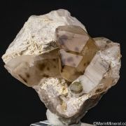 Uranomicrolite halos in Quartz with Tourmaline