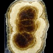 Baryte, marcasite