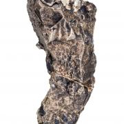 Silver (Crystallized) with Argentite