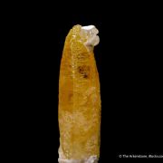 Mimetite