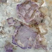 Fluorite with Celestine