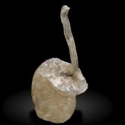 Silver with Calcite