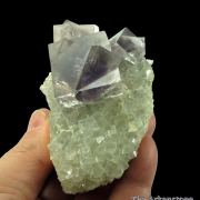 Fluorite (fl) on Fluorite (fl), with Galena and Marcasite