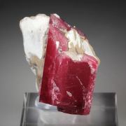gemmy RHODONITE