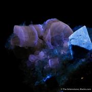 Scheelite, Fluorapatite and Quartz on Pyrite