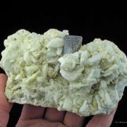 Tantalite Ps Microlite