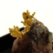 Native Gold. 11.80 ct.