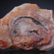 Agate (Laguna) Polished Nodule