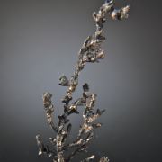 Silver (arborescent, fine crystallized)