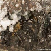 Teallite and Wurtzite on Cassiterite