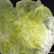 Prehnite