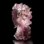 Amethyst / Amethystflower – Irai, Rio Grande do Sul, Brazil