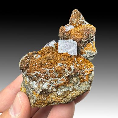 Fluorite with Siderite