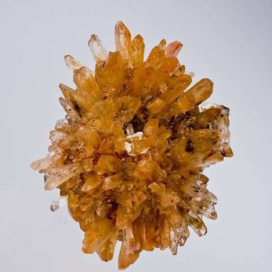 Creedite
