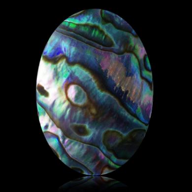 Abalone 46,24 ct 