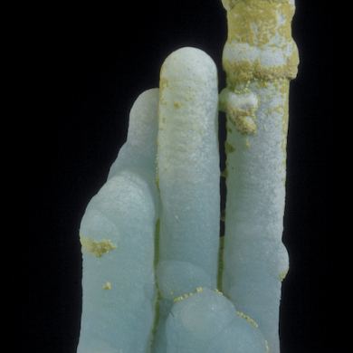Chrysocolla - stalactitic with Quartz