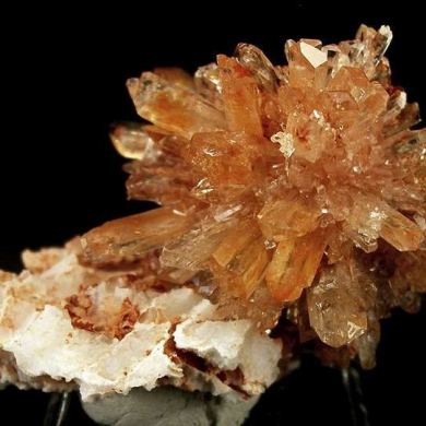 Creedite