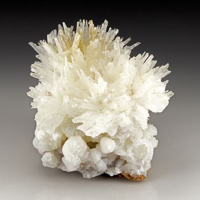 Aragonite