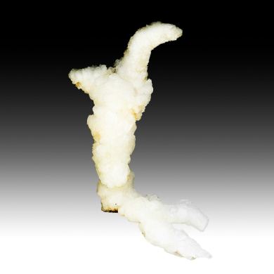 Aragonite