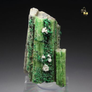 GARNET var. GROSSULAR var. CHROMIAN, DIOPSIDE