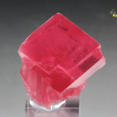 gemmy RHODOCHROSITE