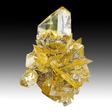 Gypsum