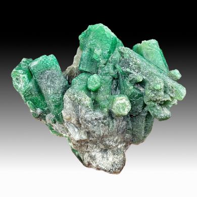 Beryl